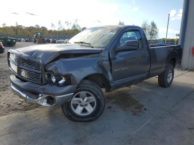 DODGE RAM 1500 2002 with VIN 1D7HU16Z92J226530 - Photo from auction