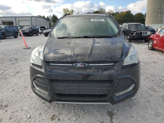 Photo 5 from auction – 2016 FORD ESCAPE SE with VIN 1FMCU0GX2GUC87330