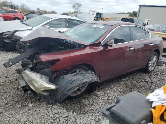 NISSAN MAXIMA S 2010 with VIN 1N4AA5AP3AC843481 - Photo from auction