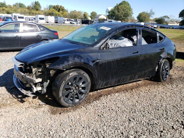 TESLA MODEL Y 2023 with VIN 7SAYGDEEXPA024036 - Photo from auction