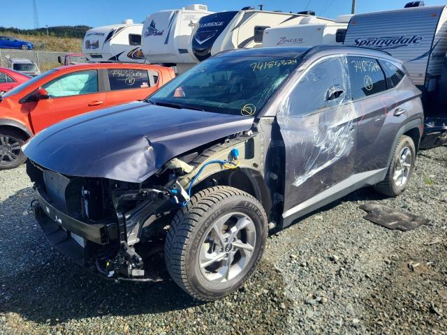 HYUNDAI TUCSON SEL 2024 with VIN KM8JCCDE3RU316710 - Photo from auction
