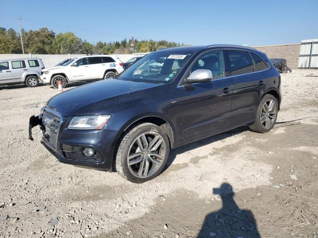 AUDI SQ5 PREMIU 2015 z numerem VIN WA1CGAFP5FA025248 - Zdjęcie z aukcji