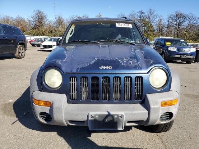 Photo 5 from auction – 2002 JEEP LIBERTY SP with VIN 1J4GL48K72W204338