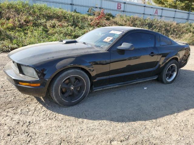 FORD MUSTANG 2008 with VIN 1ZVHT80N685191357 - Photo from auction