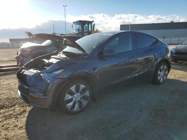TESLA MODEL Y 2023 with VIN LRWYGDEE9PC265872 - Photo from auction