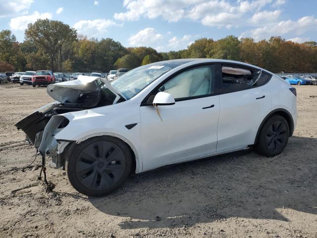 TESLA MODEL Y 2024 with VIN 7SAYGDEE0RA308715 - Photo from auction