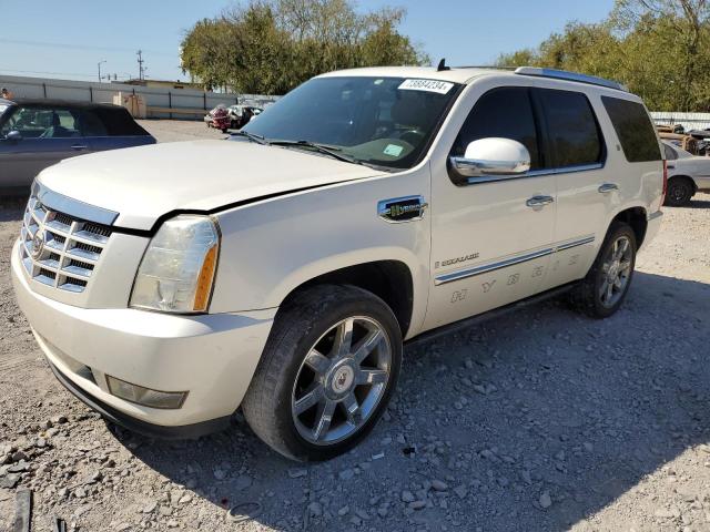 CADILLAC ESCALADE H 2009 with VIN 1GYFC43599R133620 - Photo from auction