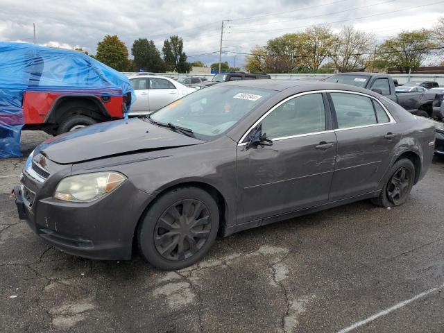 Photo 1 from auction – 2010 CHEVROLET MALIBU LS with VIN 1G1ZA5E09A4129142