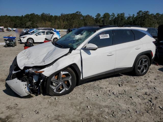 HYUNDAI TUCSON LIM 2023 with VIN 5NMJECAE6PH270328 - Photo from auction