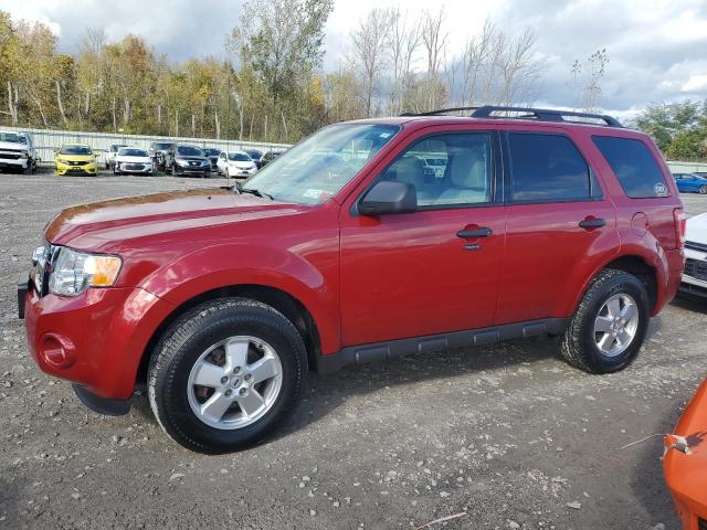 FORD ESCAPE XLT 2011 with VIN 1FMCU0D76BKB11437 - Photo from auction