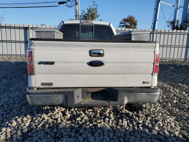 Photo 6 from auction – 2010 FORD F150 SUPER with VIN 1FTFX1EV1AFB17665