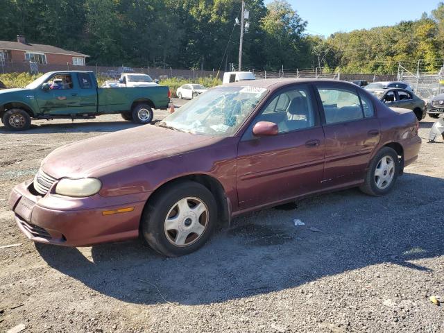 CHEVROLET MALIBU LS 2001 with VIN 1G1NE52J816192690 - Photo from auction