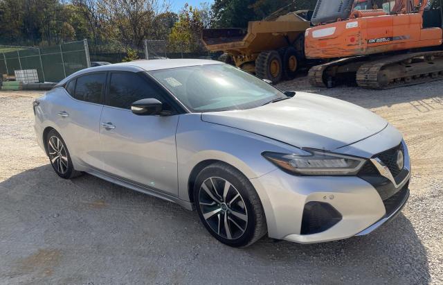 NISSAN MAXIMA SV 2023 with VIN 1N4AA6CV6PC510220 - Photo from auction