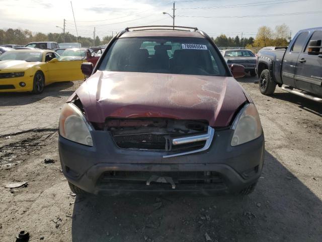 Photo 5 from auction – 2004 HONDA CR-V EX with VIN JHLRD78864C010859