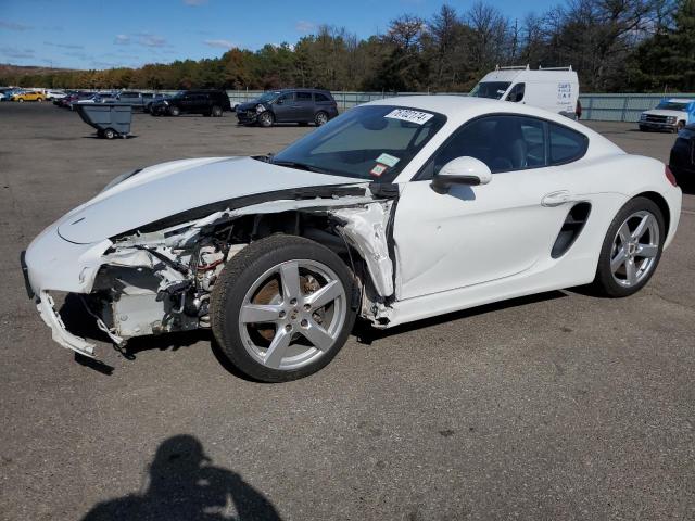 PORSCHE CAYMAN 2015 with VIN WP0AA2A87FK163789 - Photo from auction