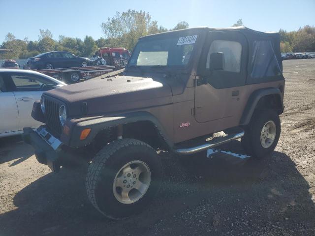 JEEP WRANGLER / 1998 with VIN 1J4FY29PXWP714310 - Photo from auction