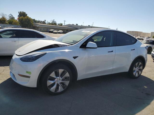 TESLA MODEL Y 2023 with VIN 7SAYGDEE5PF812029 - Photo from auction