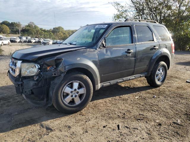 FORD ESCAPE XLT 2009 with VIN 1FMCU03G69KA57570 - Photo from auction