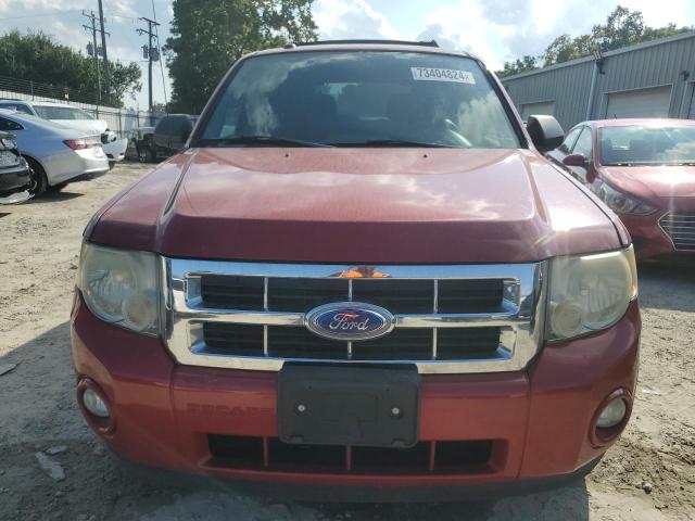 Photo 5 from auction – 2011 FORD ESCAPE XLT with VIN 1FMCU0DG2BKB95742