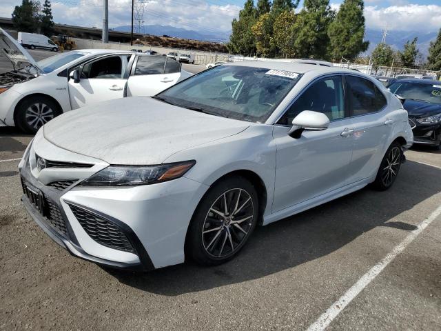 TOYOTA CAMRY 2023 with VIN 4T1T11AK2PU170293 - Photo from auction
