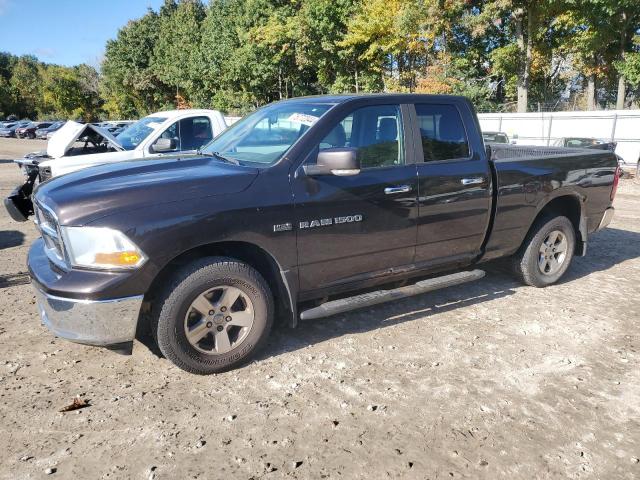 DODGE RAM 1500 2011 with VIN 1D7RV1GT4BS626873 - Photo from auction