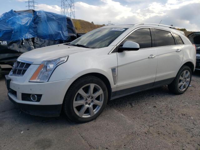 CADILLAC SRX PREMIU 2011 with VIN 3GYFNFEY8BS508168 - Photo from auction