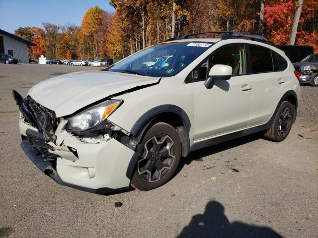 SUBARU XV CROSSTR 2013 with VIN JF2GPAVC0D2900329 - Photo from auction