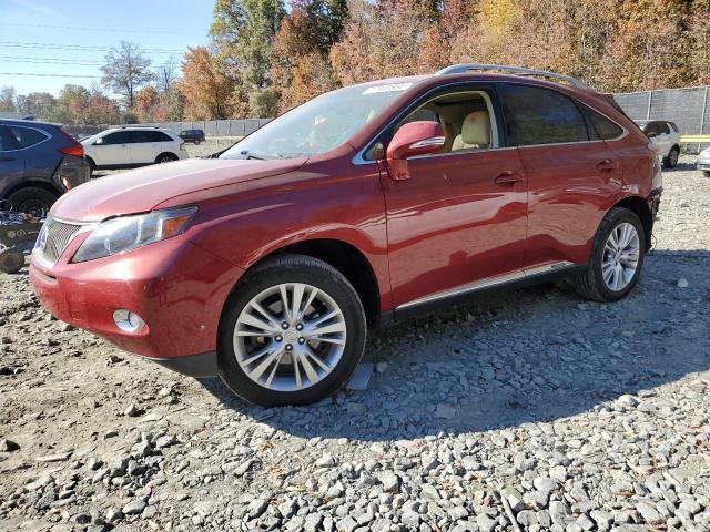 LEXUS RX 450H 2010 con VIN JTJBC1BA1A2005545 - Foto de la subasta
