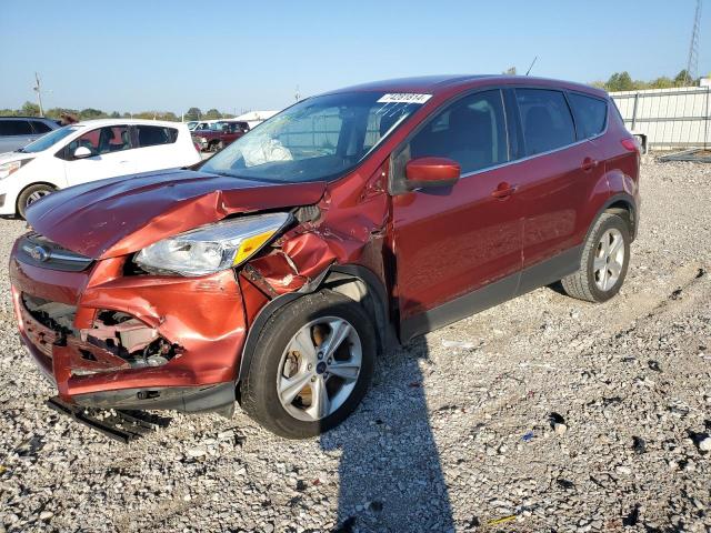 FORD ESCAPE SE 2014 with VIN 1FMCU0GX1EUC31201 - Photo from auction