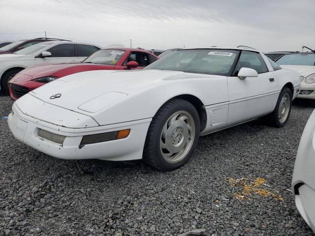 CHEVROLET CORVETTE 1996 with VIN 1G1YY2258T5102372 - Photo from auction