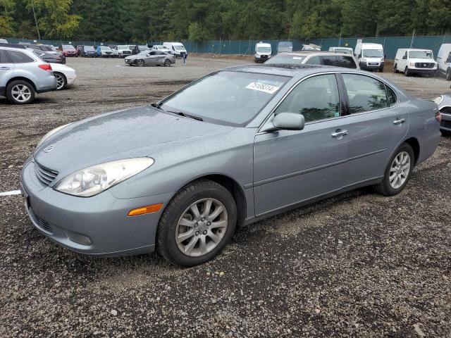 LEXUS ES 300 2003 with VIN JTHBF30G930100316 - Photo from auction