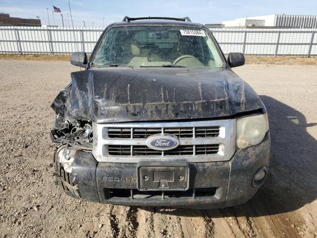 Photo 5 from auction – 2010 FORD ESCAPE XLT with VIN 1FMCU0DG4AKD43002