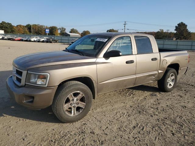 DODGE DAKOTA SXT 2010 with VIN 1D7CW3GK4AS199621 - Photo from auction