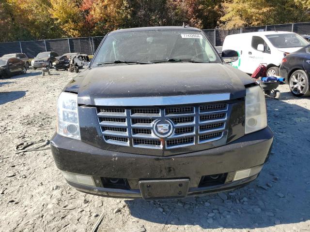 Photo 5 from auction – 2010 CADILLAC ESCALADE E with VIN 1GYUKJEFXAR249475