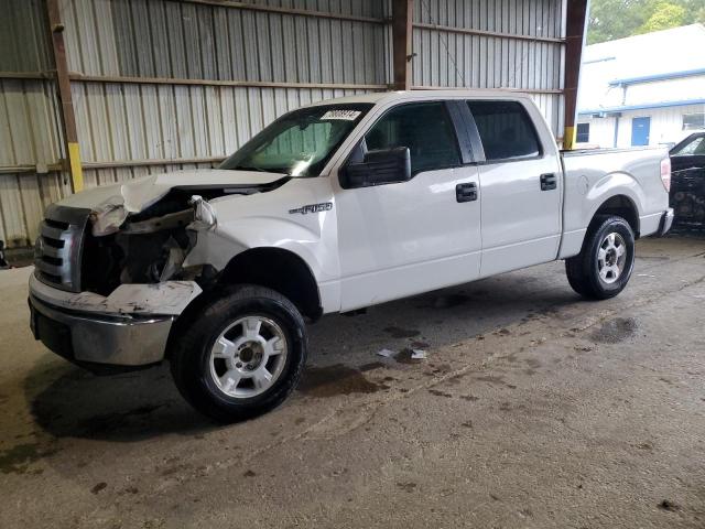 FORD F150 SUPER 2010 with VIN 1FTEW1C8XAFC07022 - Photo from auction