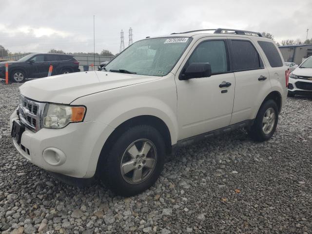 FORD ESCAPE XLT 2010 with VIN 1FMCU0DG6AKB42945 - Photo from auction