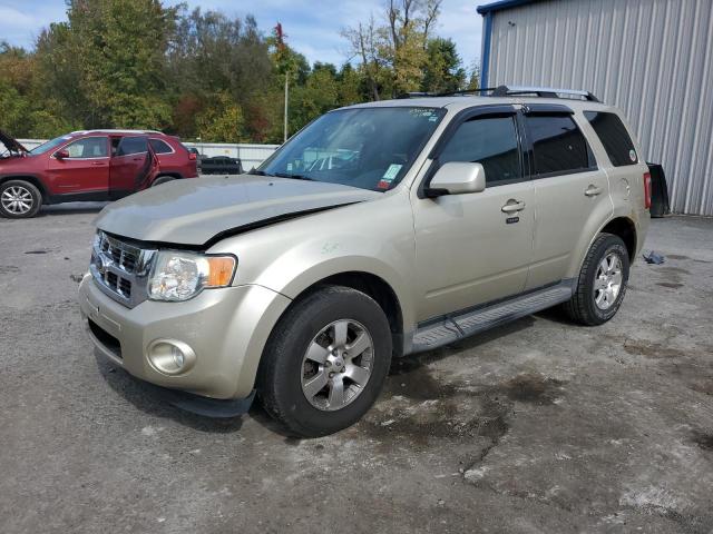 FORD ESCAPE LIM 2011 with VIN 1FMCU9EG7BKC27572 - Photo from auction