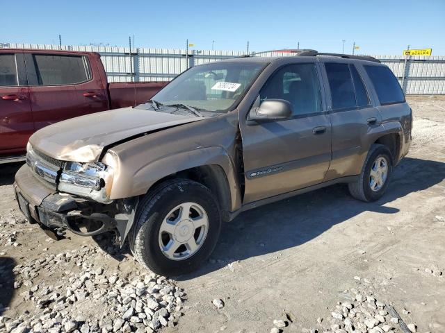 CHEVROLET TRAILBLAZE 2003 with VIN 1GNDT13S332363176 - Photo from auction
