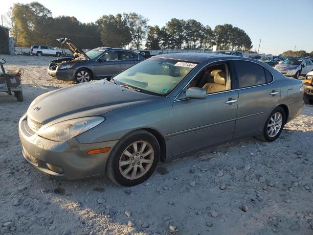 LEXUS ES 300 2002 with VIN JTHBF30G020077863 - Photo from auction