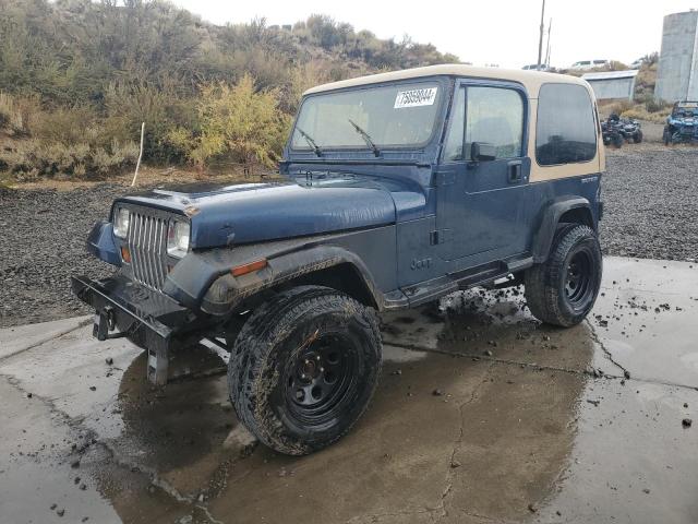 JEEP WRANGLER / 1991 with VIN 2J4FY29S3MJ108717 - Photo from auction