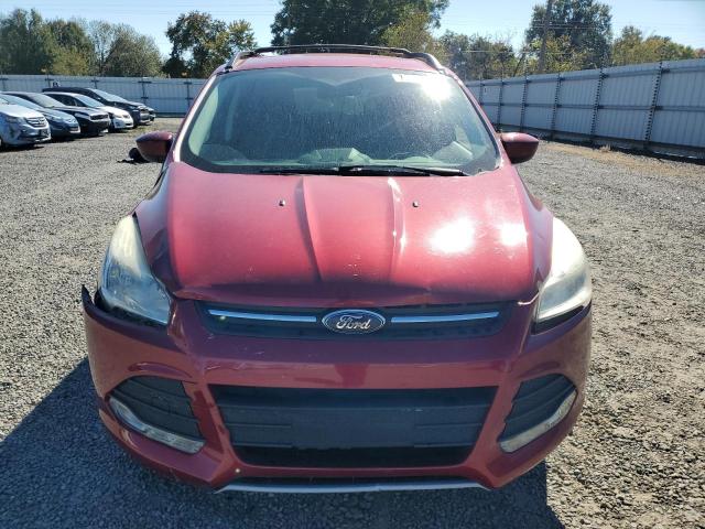 Photo 5 from auction – 2014 FORD ESCAPE SE with VIN 1FMCU0GX9EUB54559