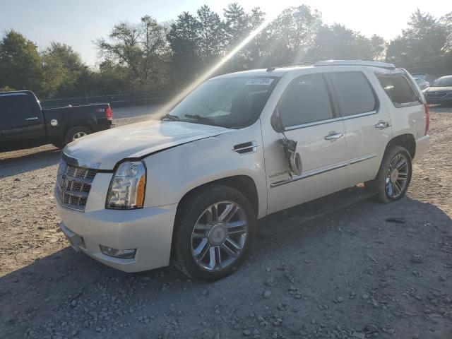 CADILLAC ESCALADE P 2011 with VIN 1GYS4DEF1BR343281 - Photo from auction