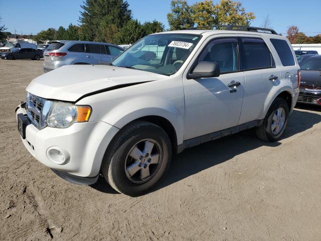 FORD ESCAPE XLT 2011 z numerem VIN 1FMCU9DG3BKC48677 - Zdjęcie z aukcji