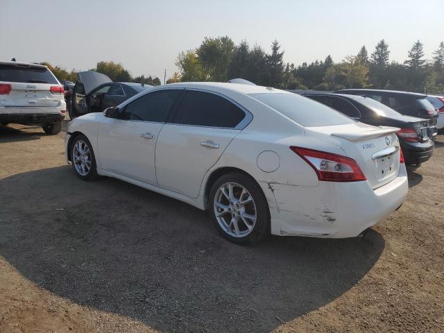 Photo 2 from auction – 2010 NISSAN MAXIMA S with VIN 1N4AA5AP4AC864761