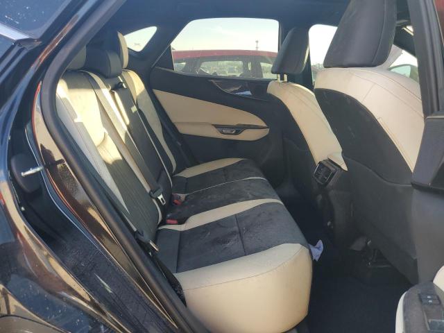 Photo 11 from auction – 2024 LEXUS NX 250 with VIN 2T2GDCAZ6RC009754