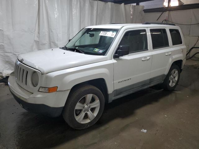 JEEP PATRIOT SP 2011 with VIN 1J4NF1GB7BD145589 - Photo from auction