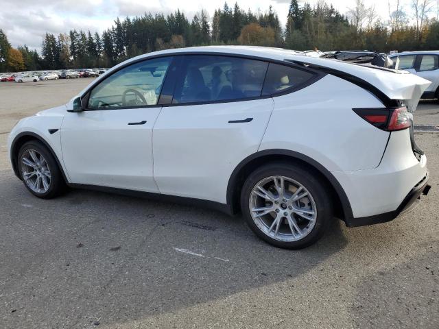 Photo 2 from auction – 2023 TESLA MODEL Y with VIN 7SAYGAEE6PF827170