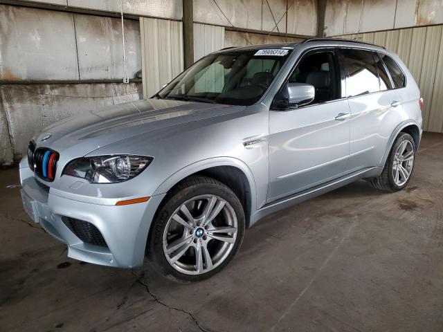 BMW X5 M 2010 with VIN 5YMGY0C55ALK25262 - Photo from auction