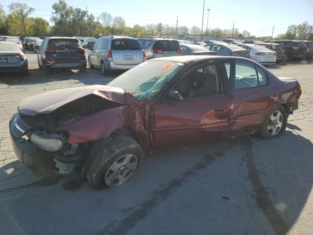 CHEVROLET MALIBU 2003 with VIN 1G1ND52J63M616613 - Photo from auction