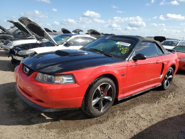 FORD MUSTANG GT 2003 with VIN 1FAFP45X53F355014 - Photo from auction
